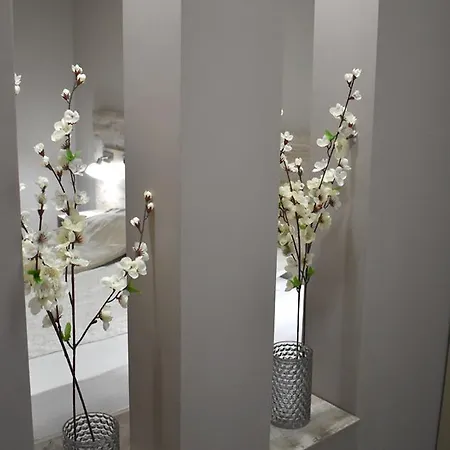 Apartmani Zrenjanin 4* Nagybecskerek